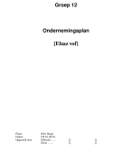 Voorbeeld Ondernemingsplan