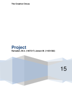 Projectrapport Financieringsvormen en Advies geven aan een handelsbedrijf