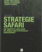 Strategie-safari Samenvatting 
