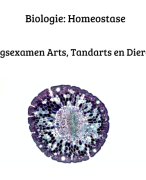 Biologie voor het ingangsexamen: Homeostase