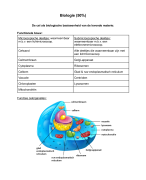 Samenvatting natuurwetenschappen 3e graad examencommissie 
