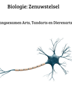 Biologie voor het ingangsexamen: Het zenuwstelsel