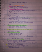Samenvatting - Design - Ontwerpgeschiedenis