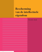 Bescherming van de intellectuele eigendom Samenvatting 