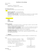 Anatomie: Hoofdstuk 5: de huid