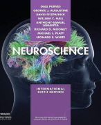 Samenvatting Boek Neurowetenschappen Deeltentamen 2