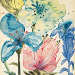 Elise Schiotling