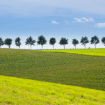 flowerpowerx 