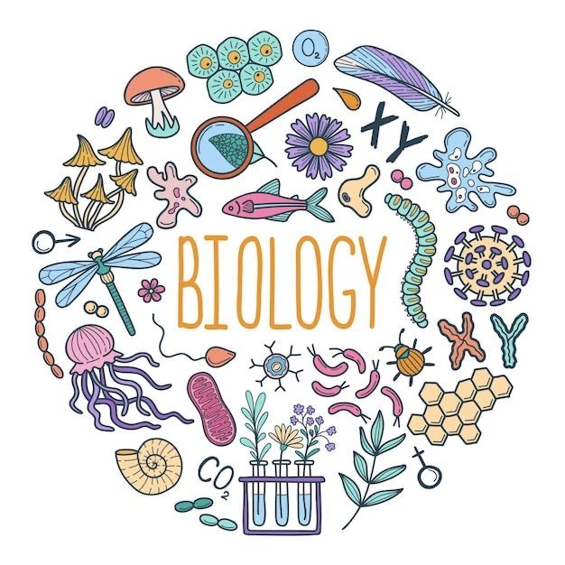 Natuurwetenschappen 3DU – Oefenvragen met Antwoorden (Chemie, Fysica & Biologie) | Examenjaar 2026